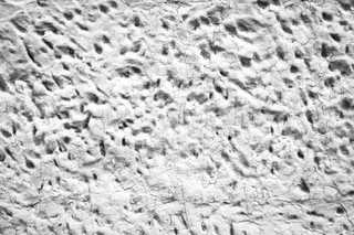 Bloco de espuma branco